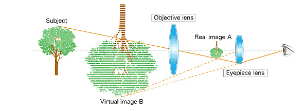 info-591-216 info-591-216